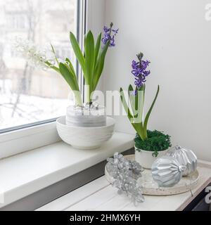 Jacinthe blanche et bleue dans un grand bol en porcelaine, sont sur la tablette contre le mur blanc. Mise en page. Concept de ressort Banque D'Images