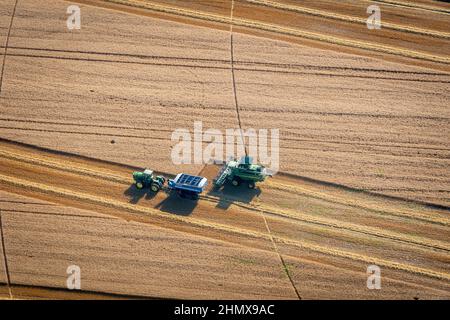 Antenne de terres agricoles le long de la côte est du Maryland Banque D'Images