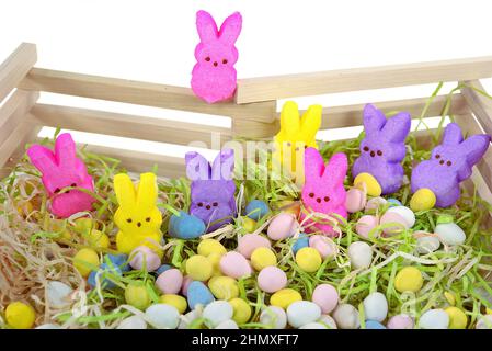 Bonbon de Pâques sur une clôture en bois et herbe avec œufs pastel Banque D'Images