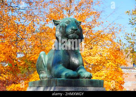 PRINCETON, NJ -18 NOV 2021- vue de la statue de tigre de bronze à Palmer Square dans le centre-ville de Princeton, New Jersey, en automne. Banque D'Images