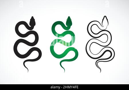 Vecteur de motif serpent sur fond blanc. Animaux. Reptile. Logo ou icône Snakes. Illustration vectorielle superposée facile à modifier. Illustration de Vecteur