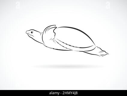 Vecteur de la tortue à écaille molle (Trionychidae) sur fond blanc. Animaux sauvages. Logo ou icône des tortues. Illustration vectorielle superposée facile à modifier. Illustration de Vecteur