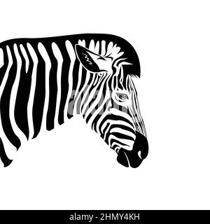 Vecteur de la tête Zebra sur un fond blanc. Animaux sauvages. Illustration vectorielle superposée facile à modifier. Illustration de Vecteur