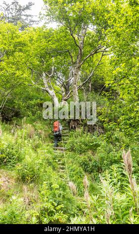 Un homme fait son chemin vers le haut de l'échelle de corde de bout de champ de la plage à Jefferson Cove sur la côte sud olympique, Washington, États-Unis. Banque D'Images