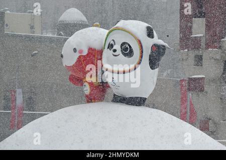 Pékin, Chine. 13th févr. 2022. Les Jeux olympiques, Feature, les mascottes olympiques Panda Bing Dwen et Shuey Rhon Rhon (l), mascotte officielle des Jeux paralympiques d'hiver de 2022, sont couverts de neige. Credit: Peter Kneffel/dpa/Alay Live News Banque D'Images