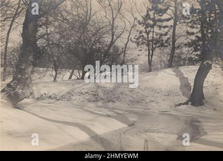 Source : photographies originales ADDITIONAL-RIGHTS-CLEARING-INFO-NOT-AVAILABLE : magnifique photo de paysage vintage sur une forêt enneigée. Banque D'Images