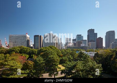 Gratte-ciels du quartier commercial et financier de Marunouchi, vue depuis les jardins du Palais impérial. Tokyo. Japon Banque D'Images