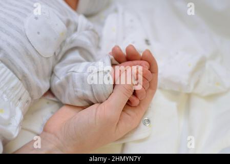 Maman tient le nouveau-né à la main. Gros plan. Les soins et l'amour de la mère Banque D'Images