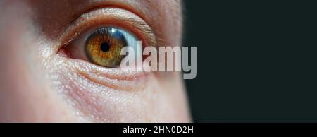 Prise de vue macro détaillée d'un œil de noisette. Gros plan de l'œil d'un jeune homme. Concept de concentration, de concentration et de soins de santé. Banque D'Images