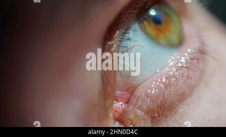 Prise de vue macro détaillée d'un œil de noisette. Gros plan de l'œil d'un jeune homme. Concept de concentration, de concentration et de soins de santé. Banque D'Images