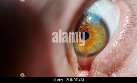 Prise de vue macro détaillée d'un œil de noisette. Gros plan de l'œil d'un jeune homme. Concept de concentration, de concentration et de soins de santé. Banque D'Images