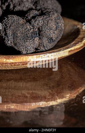 Truffe noire ou truffe Périgord, appelée or noir en raison de son prix élevé Banque D'Images