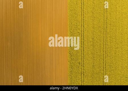 Vue aérienne des rangées de sol avant la plantation de colza. Sillons le modèle de rangée dans un champ labouré préparé pour la plantation de cultures au printemps. Tir de drone Banque D'Images