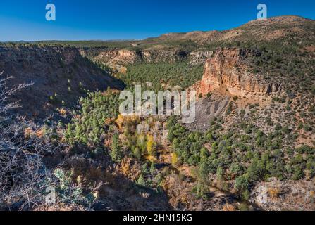 Couloir riverain à l'intérieur de Corduroy Creek Canyon, US route 60, réserve indienne de fort Apache, près de Carrizo Junction, Arizona, États-Unis Banque D'Images