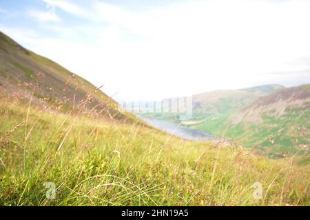 Scafell Pike, Lake District, Royaume-Uni, vue vers Wast Water. Vue panoramique sur la montagne vers le lac avec de l'herbe en premier plan. Banque D'Images