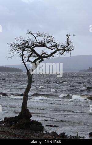 Loch Lomond sur orageux, en hiver Banque D'Images