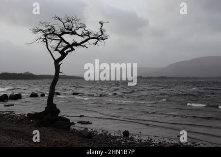 Loch Lomond sur orageux, en hiver Banque D'Images