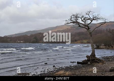 Loch Lomond sur orageux, en hiver Banque D'Images