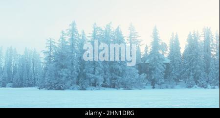 Maison se cachant parmi les sapins dans la neige, belle scène extérieure d'hiver. Rives de Strbske pleso dans les Hautes Tatras, destination de voyage populaire en Slovaquie Banque D'Images