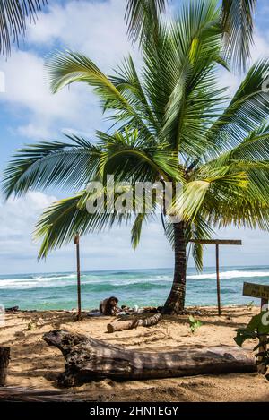 Magnifique plage tropicale Punta Uva, Limon, Costa Ric Banque D'Images