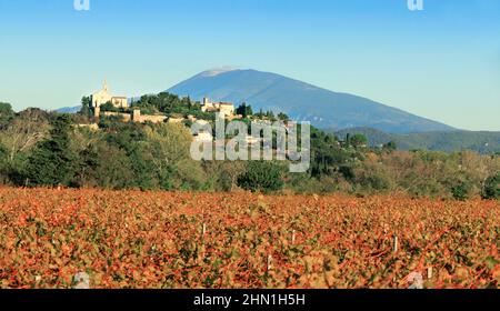 Cairanne .les pentes des vignobles du Mont Ventoux en Provence, France. Banque D'Images