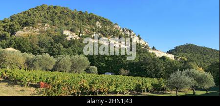 Le village de Séguret parmi les vignes aux couleurs de l'automne, Provence. Banque D'Images