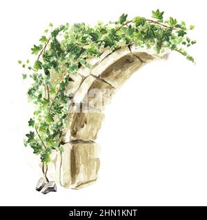 Arc de plante Ivy, éléments décoratifs, dessin à la main aquarelle illustration isolée sur fond blanc Banque D'Images