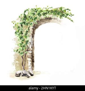 Arc de plante Ivy, éléments décoratifs, dessin à la main aquarelle illustration isolée sur fond blanc Banque D'Images