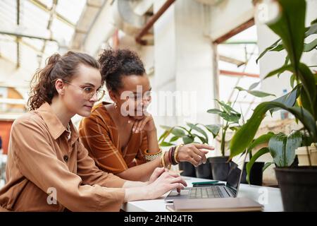 Deux jeunes femmes designers discutent en ligne projet de l'intérieur de la boutique florale tandis que l'une d'entre elles pointe vers l'écran d'ordinateur portable lors de la réunion Banque D'Images
