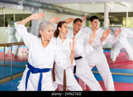 Femme âgée pratiquant les arts martiaux avec groupe dans la salle de gym Banque D'Images