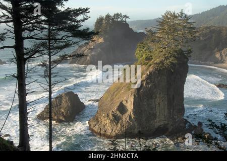 Sea Stacks, couloir panoramique de l'État Samuel H. Boardman, Oregon Banque D'Images