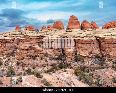 Canyonlands Utah roc Pinnacles dans Needles District Banque D'Images