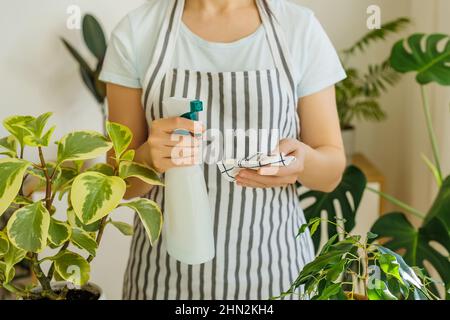 Femme fleuriste dans un tablier tenant dans les mains vaporisant bouteille et éponge humide. Printemps pour les plantes de soin et d'arrosage. Concept de soin des plantes de maison. Le jardinage à la maison et la vie domestique Banque D'Images