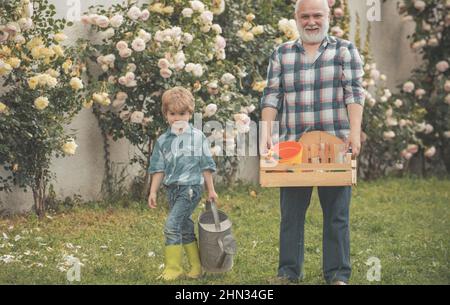 Grand-père et petit-enfant appréciant dans le jardin avec des fleurs de roses. Printemps et été. Jardinage avec des enfants. Petit-fils et grand-père passent du temps Banque D'Images