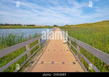 Promenade le long d'un étang de Wetland sur la plage Cavendish, dans le parc national de l'Île-du-Prince-Édouard, au Canada Banque D'Images