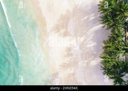 Vue aérienne vue de dessus magnifique plage d'actualité avec des cocotiers de sable blanc et la mer. Vue de dessus Plage vide et propre. Vagues écrasant la plage vide fr Banque D'Images