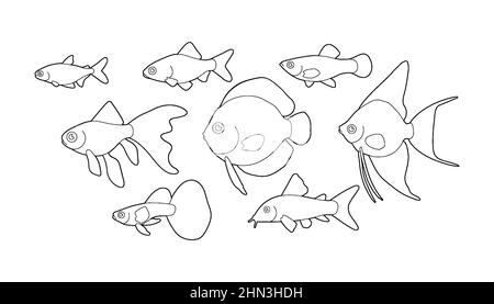 Ensemble de poissons d'eau douce aqurium en style ligne, illustration vectorielle Illustration de Vecteur