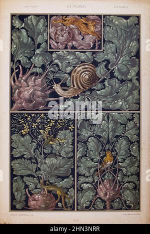 Imprimé art nouveau lithographe par Anton SEDAR. Série de plantes: Paons. 1900 Anton Johann Nepomuk Seder (1850 - 1916) est un peintre et décorateur allemand, Banque D'Images