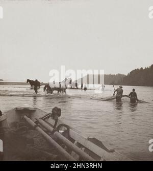 Photo d'époque de traîner dans les filets de pêche sur le fleuve Columbia, Oregon, États-Unis. Septembre 1905 Banque D'Images