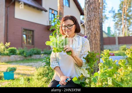 Femme souriante tenant ensemble de fines herbes culinaires populaires arugula feuilles de laitue aneth Banque D'Images