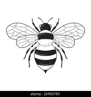 Illustration du contour des abeilles dessinée à la main illustration du vecteur. Illustration de Vecteur