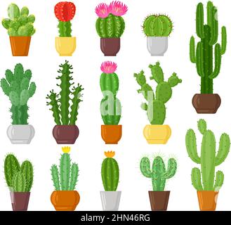 Cactus en pot de dessin animé, plantes désertiques, cactus et succulents. Plantes en pot d'intérieur, ensemble d'illustrations vectorielles fleurs de cactus vert botanique. Cactus Illustration de Vecteur