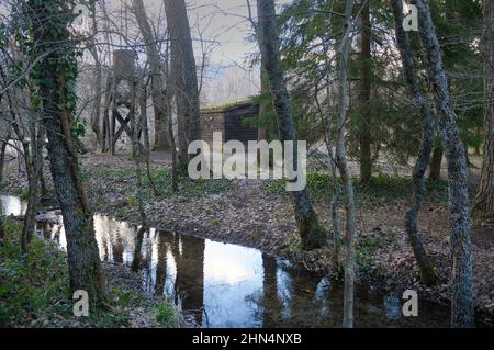 La forêt de Finlande à El Paular de Rascafría, Communauté de Madrid. Banque D'Images