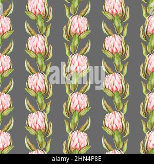 Motif fleurs protea dessiné à la main pour papier peint, textile, surface, mode, fond, carrelage, papeterie, décoration, mobilier, etc Banque D'Images