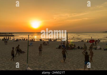 Magnifique coucher de soleil sur la plage uruguayenne avec des plantes en premier plan Banque D'Images