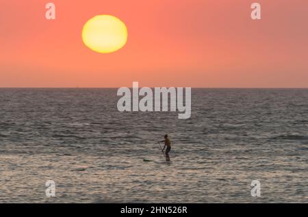 Magnifique coucher de soleil sur la plage uruguayenne avec des plantes en premier plan Banque D'Images