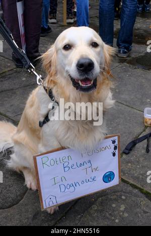 Bristol, Royaume-Uni. 14th févr. 2022. Lilie le chien fait son point. Les professeurs d'université prennent 10 jours de grève ou "d'action à moins d'une grève" pour des litiges sur la paie et le régime de pension USS. Les membres de l'UCU (University and College Union) ont reçu l'appui d'étudiants et d'autres groupes locaux. Un groupe s'est réuni à l'extérieur des chambres Victoria et, après des discours et des protestations, le rassemblement a passé paisiblement sur Park Street et s'est dispersé sur College Green. Crédit : JMF News/Alay Live News Banque D'Images