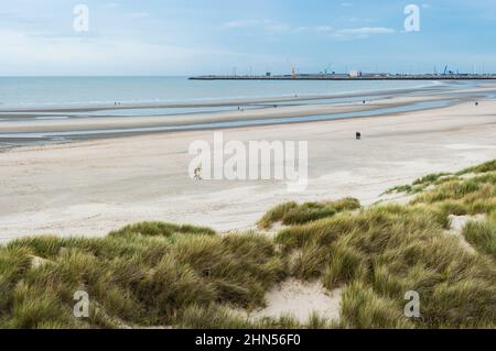 Blankenberge, Flandre / Belgique - 10 30 2018: Grande plage de sable et dunes verdoyantes en mer du Nord belge pendant la marée basse en automne. Banque D'Images