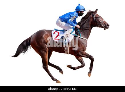 Course de chevaux jockey. Sport. Champion. Piste de course. Equestrian. Derby. Isolé sur fond blanc Banque D'Images