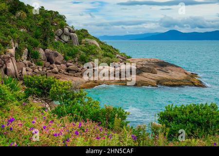 Côte tropicale avec plantes, rochers étonnants et océan turquoise. Banque D'Images